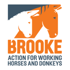 Brooke logo (1)