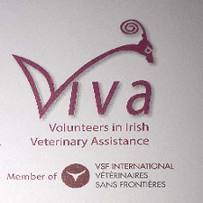 VIVA logo (1)