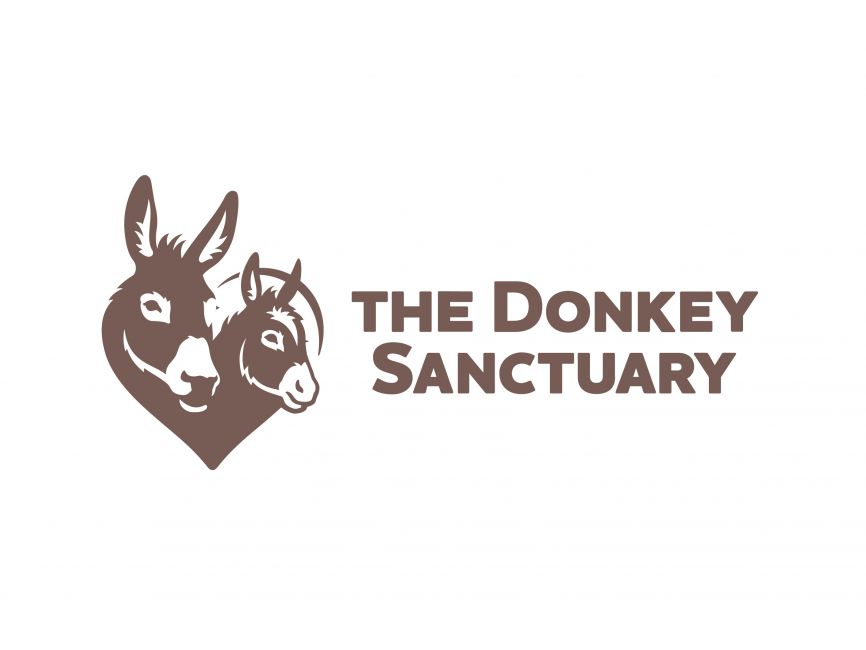 the-donkey-sanctuary