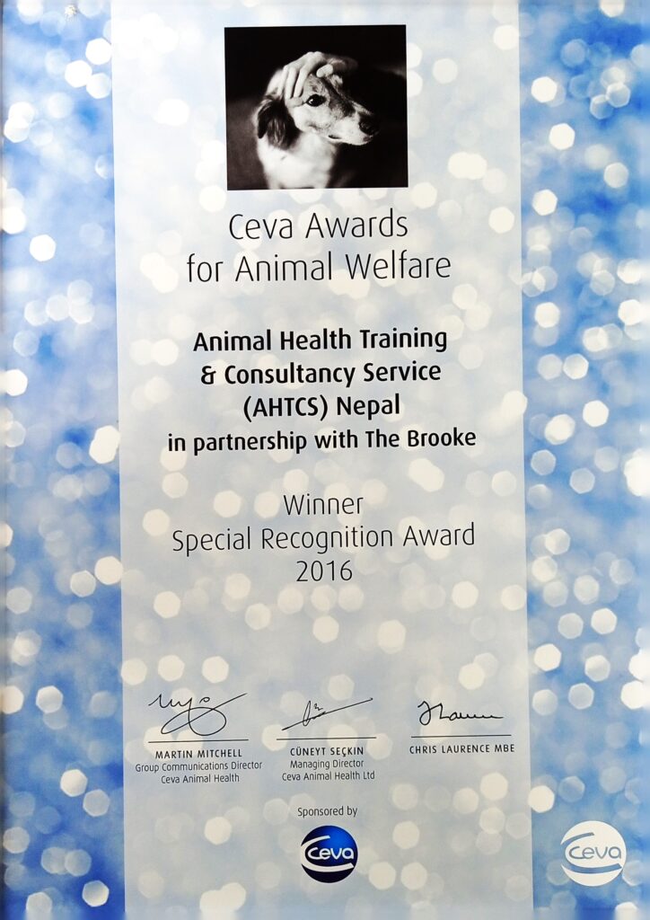 CEVA Award